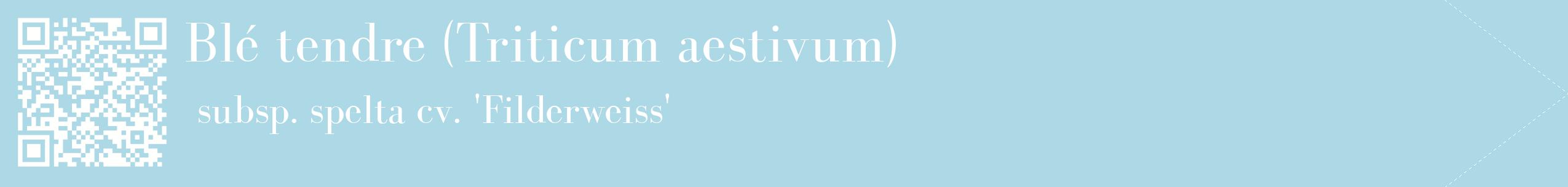 étiquette 2