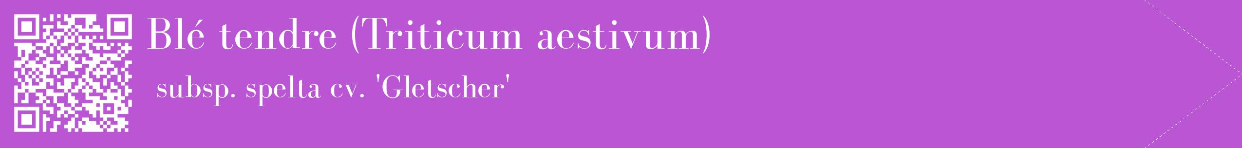 étiquette 2