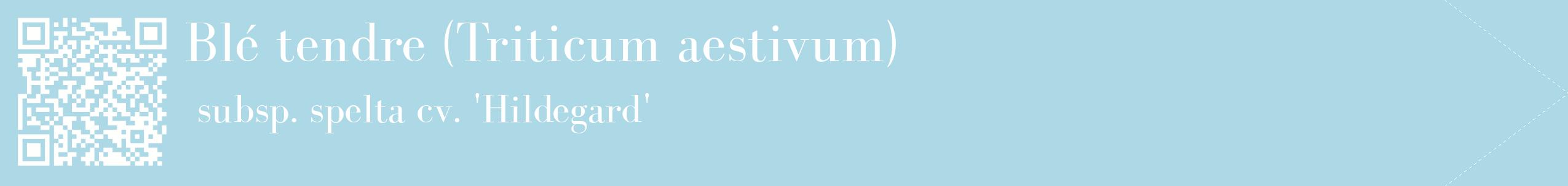 étiquette 2