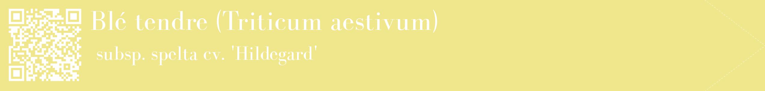 étiquette 2