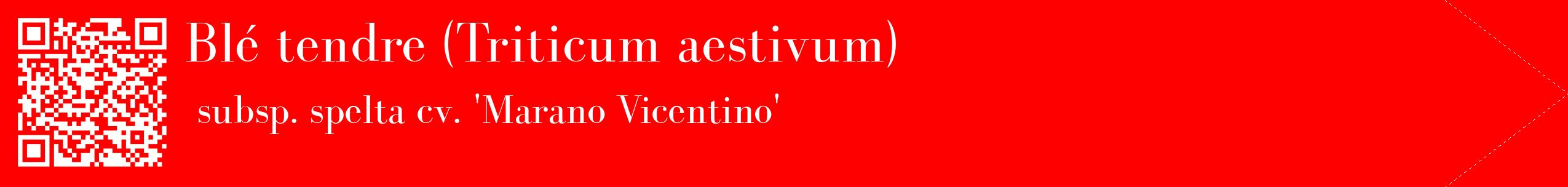 étiquette 2