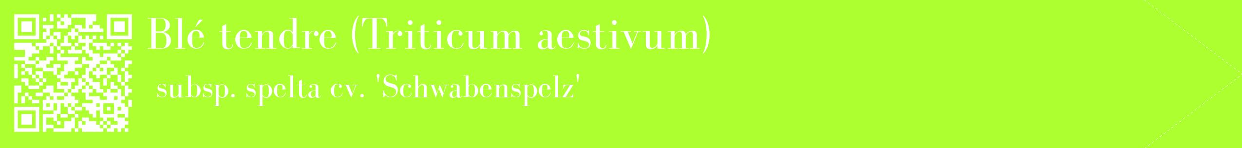 étiquette 2