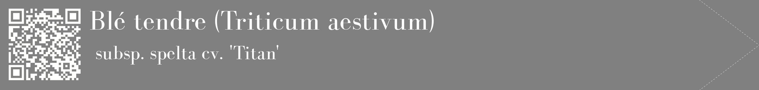 étiquette 2
