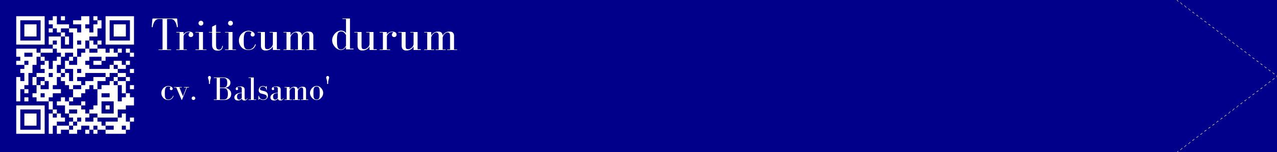 étiquette 2