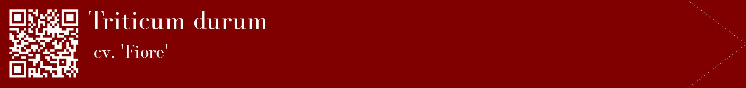 étiquette 2