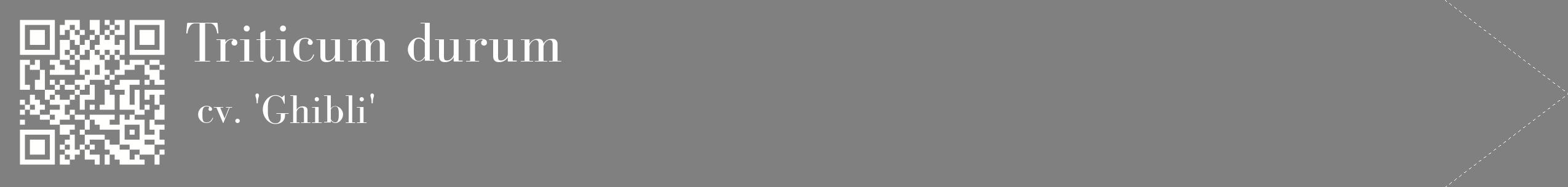 étiquette 2
