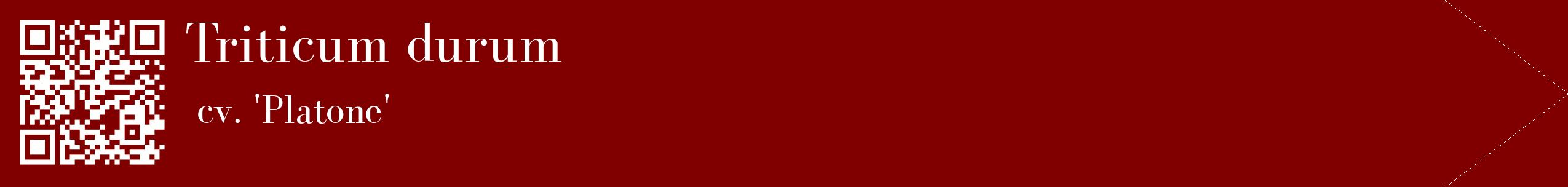 étiquette 2