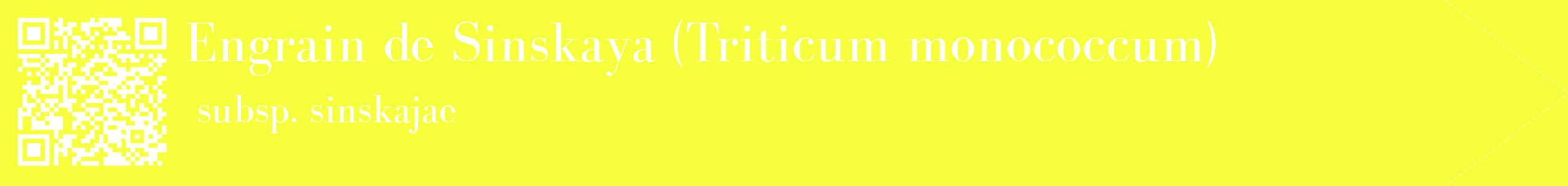 étiquette 2