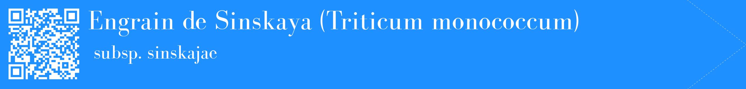 étiquette 2