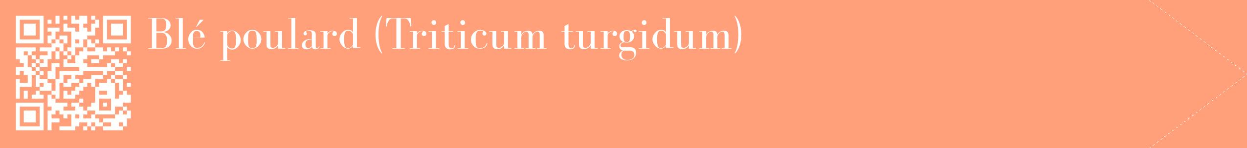 étiquette 2