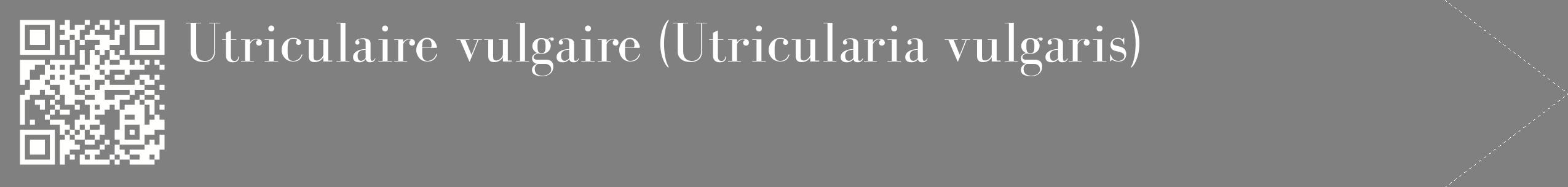 étiquette 2