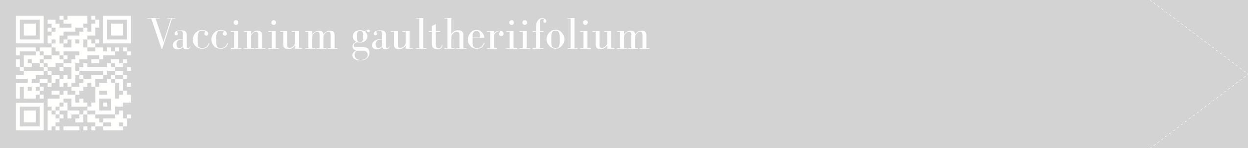 étiquette 2