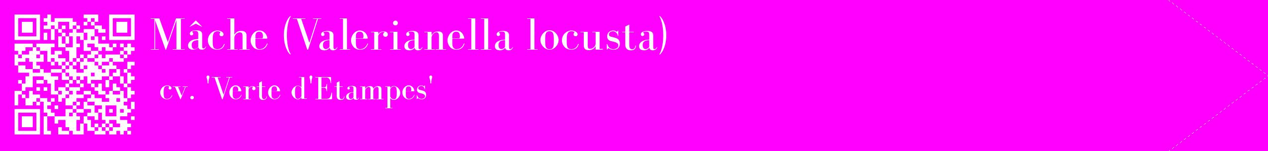étiquette 2