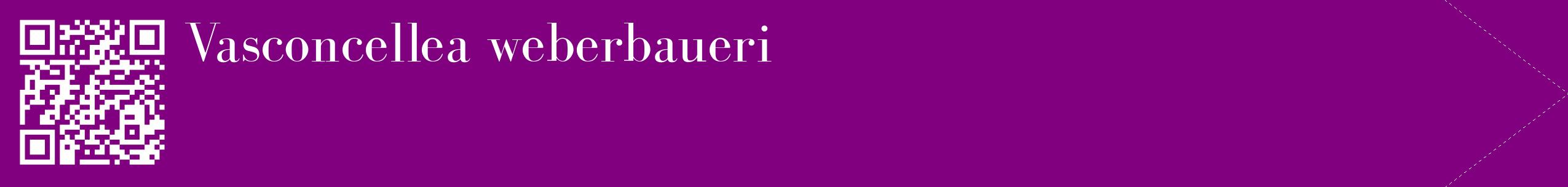 étiquette 2