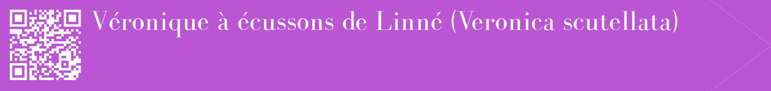 étiquette 2