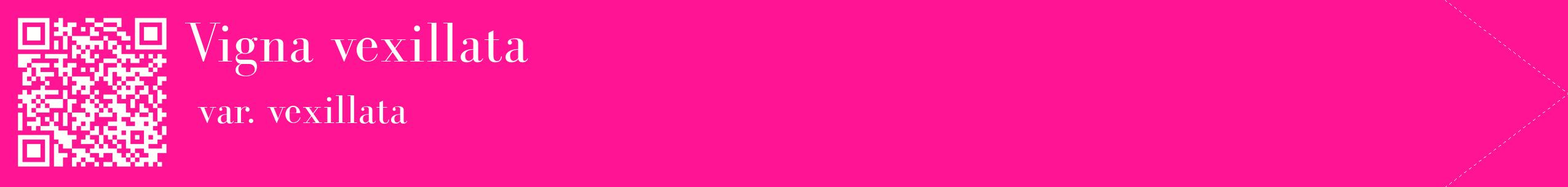 étiquette 2