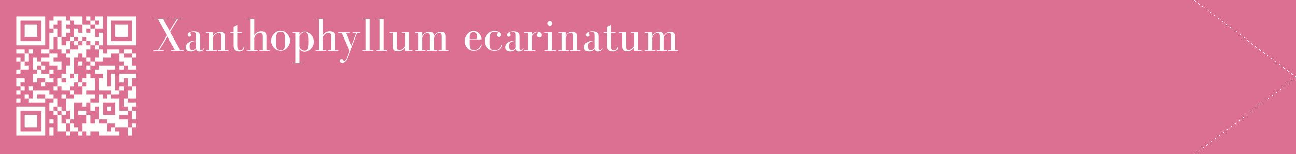 étiquette 2