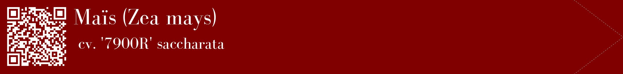 étiquette 2