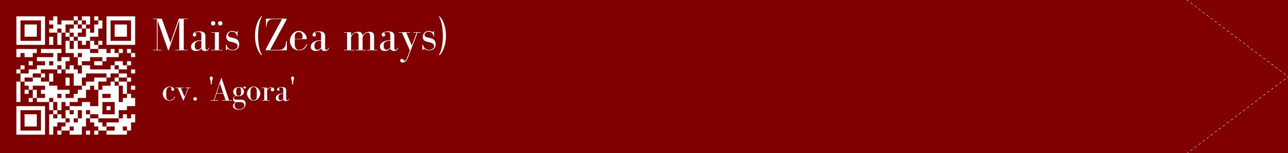 étiquette 2