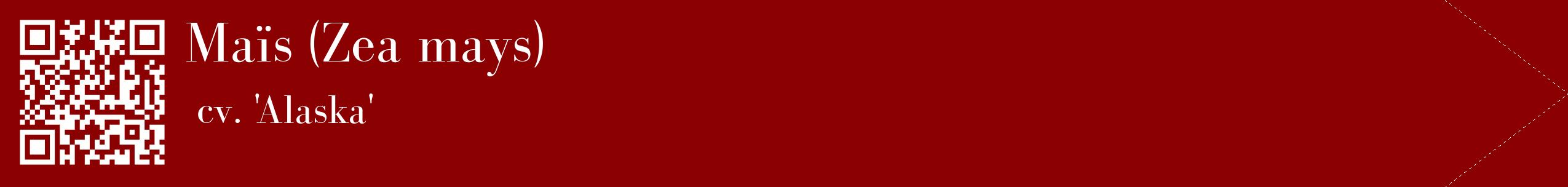 étiquette 2
