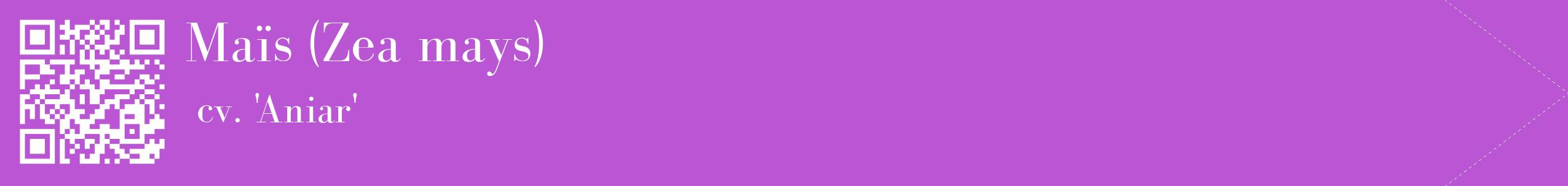 étiquette 2