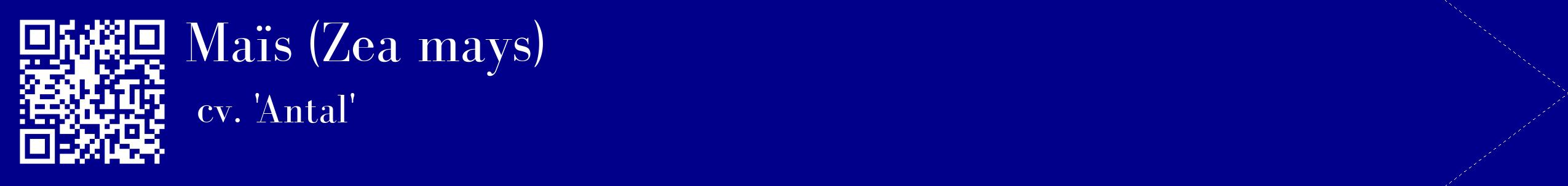 étiquette 2