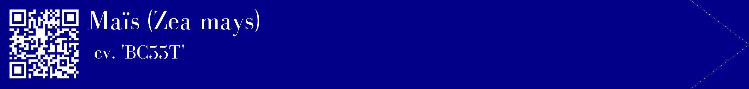 étiquette 2