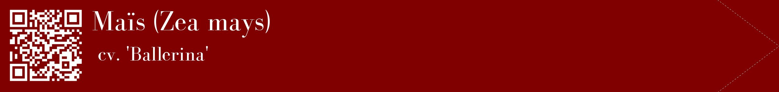 étiquette 2