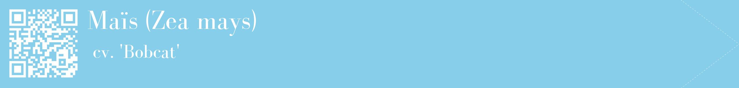 étiquette 2