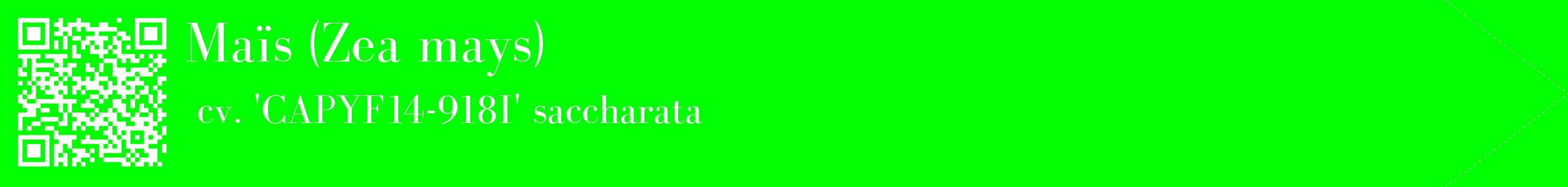 étiquette 2