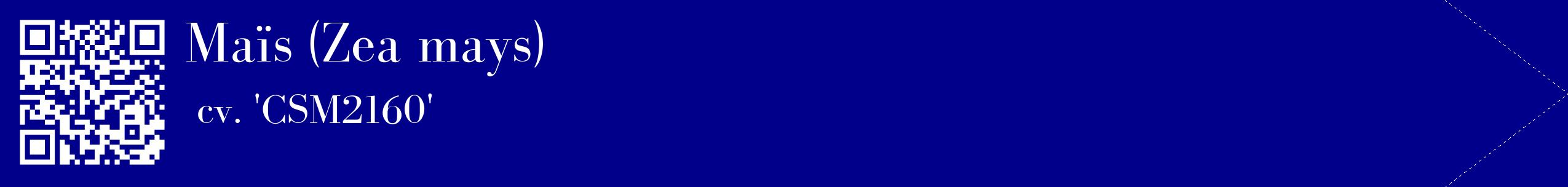 étiquette 2