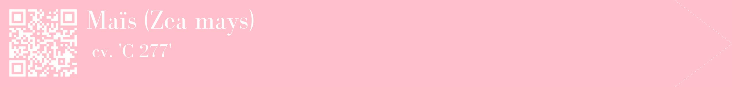 étiquette 2