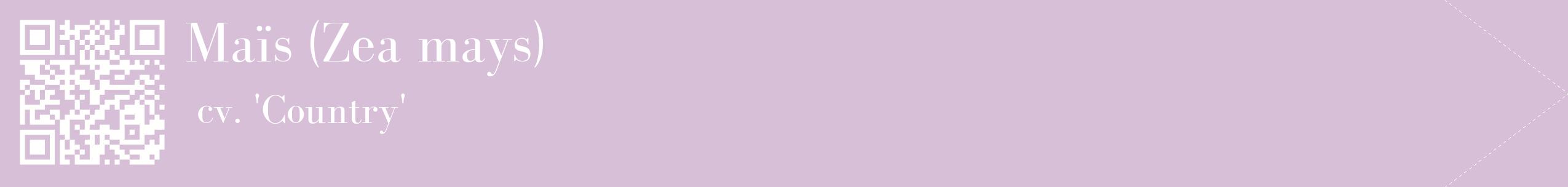 étiquette 2
