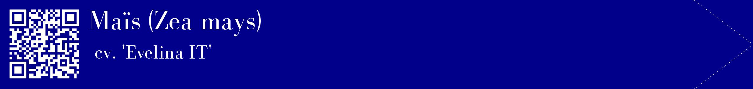 étiquette 2