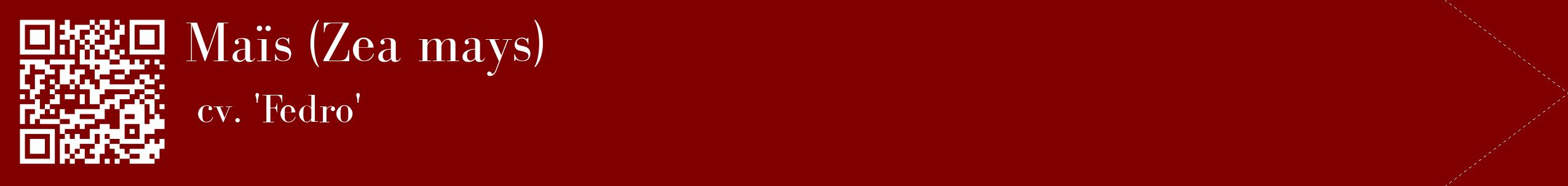 étiquette 2