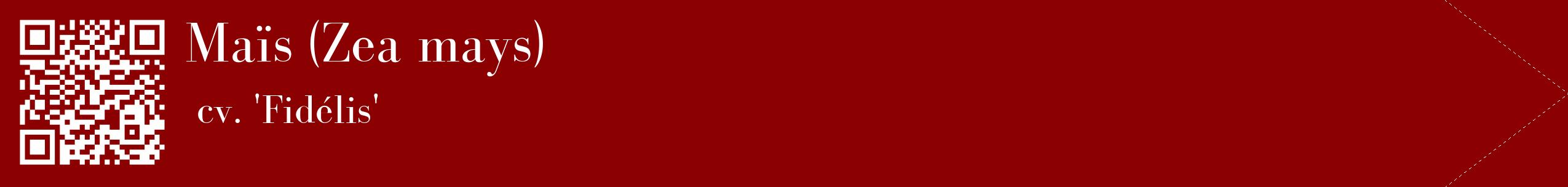 étiquette 2