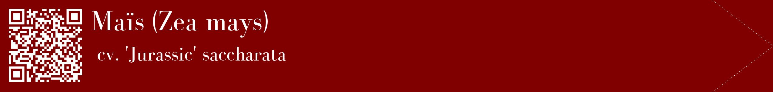 étiquette 2