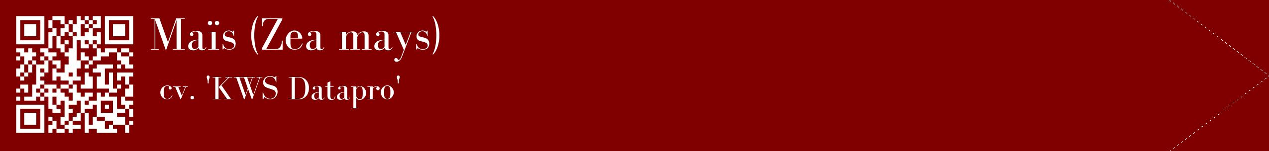 étiquette 2