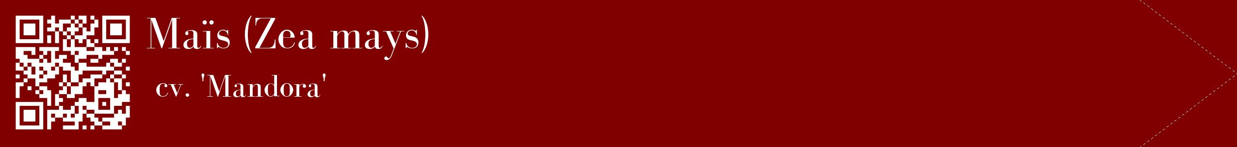étiquette 2