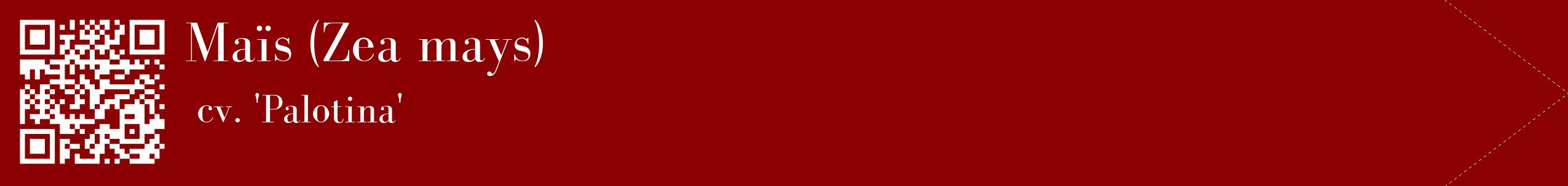 étiquette 2