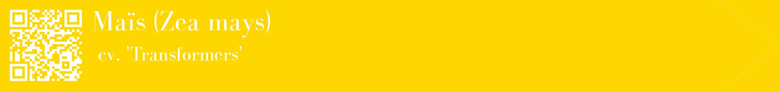 étiquette 2