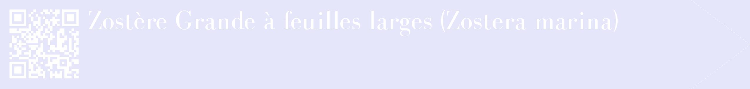 étiquette 2