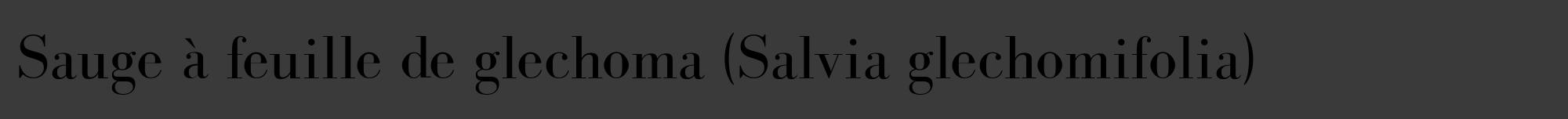Étiquette de : Salvia glechomifolia - format a - style noire8bod avec comestibilité