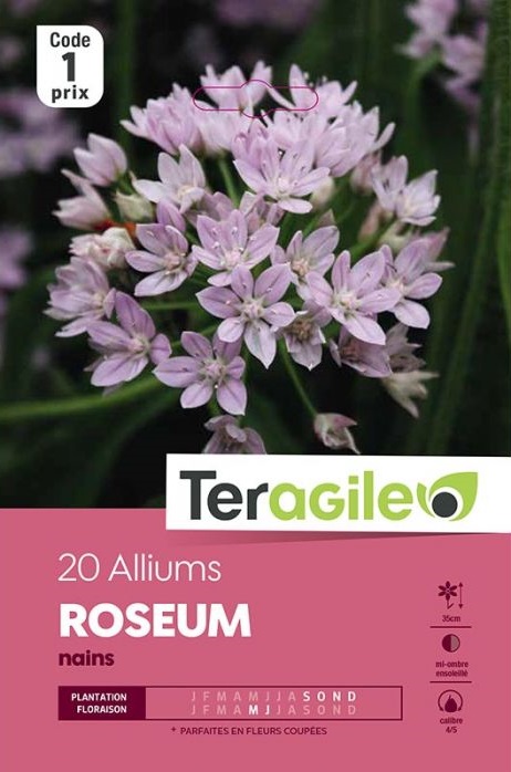 Illustration Allium roseum, Par inconnu, via pointvert 