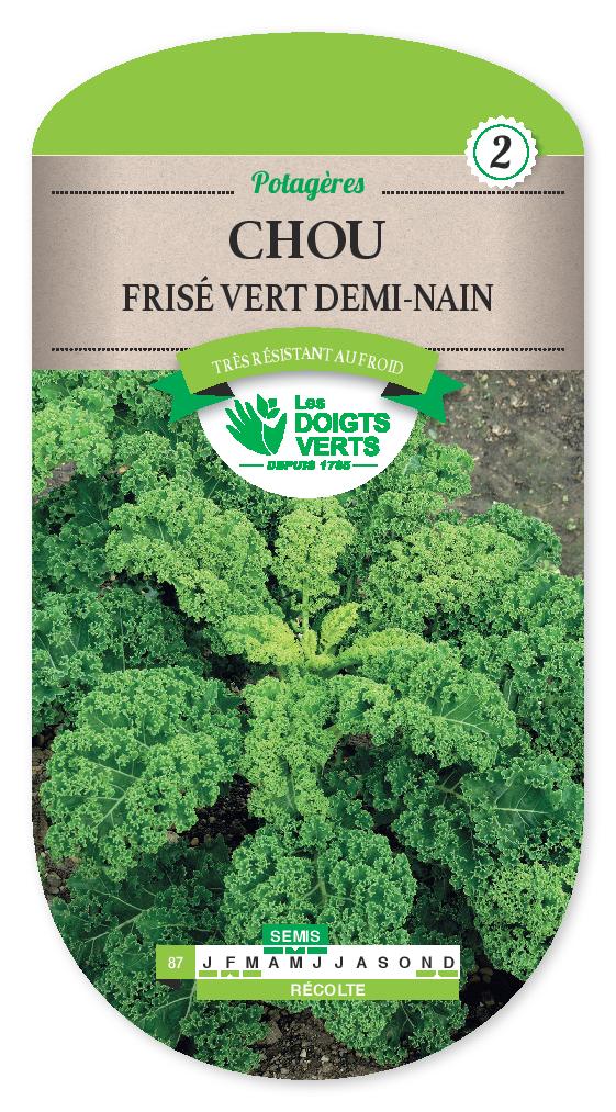 Illustration Brassica oleracea var. sabellica f. sabellica "nain" cv. 'Nain', Par inconnu, via plantes-shopping 