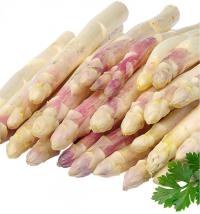 Zoom illustration asperge_argenteuil.jpg