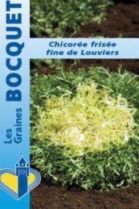 Zoom illustration chicoree_frisee_fine_louviers.jpg