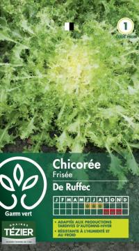 Zoom illustration chicoree_frisee_ruffiec.jpg