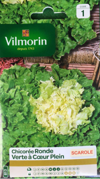 Zoom illustration chicoree_scarole_ronde_verte_coeur_plein.jpg