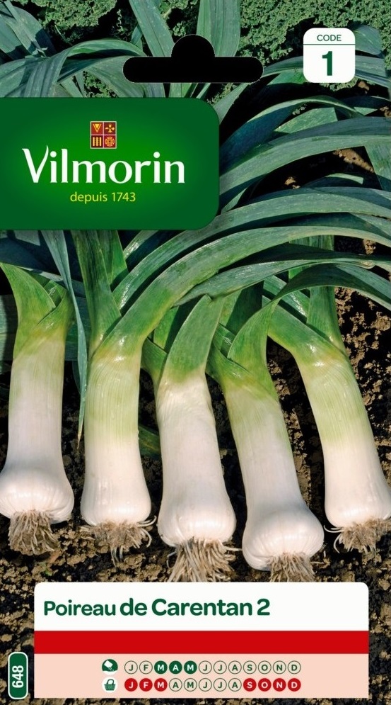 Illustration Allium porrum cv. 'Carentan(De) 2', Par inconnu, via x 